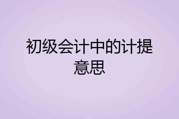 初级会计中的计提意思