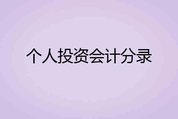 个人投资会计分录