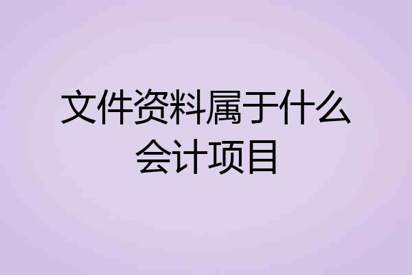 文件资料属于什么会计项目