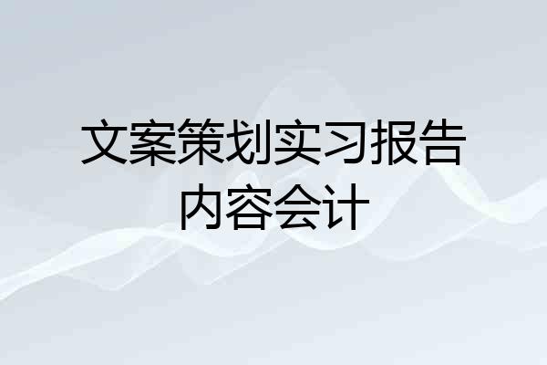 文案策划实习报告内容会计