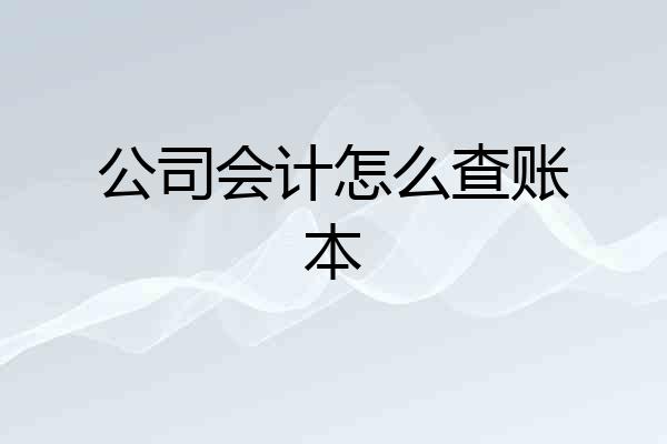 公司会计怎么查账本