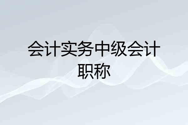 会计实务中级会计职称