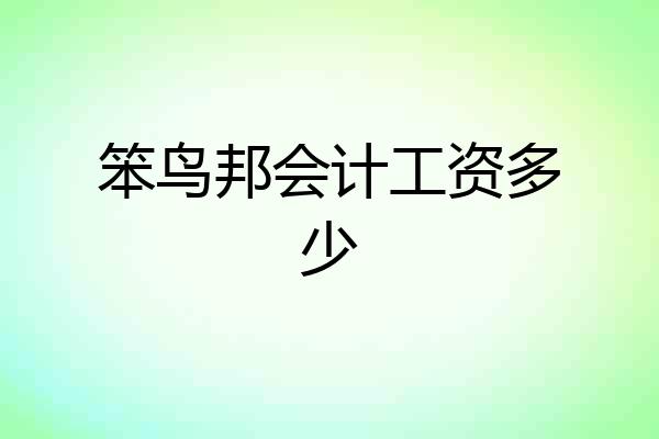 笨鸟邦会计工资多少