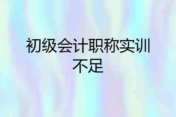 初级会计职称实训不足