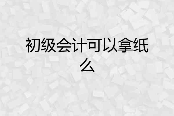 初级会计可以拿纸么