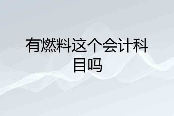有燃料这个会计科目吗