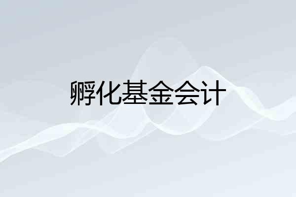 孵化基金会计