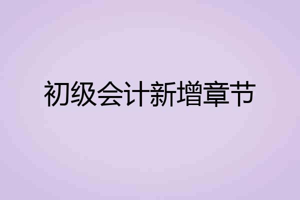 初级会计新增章节