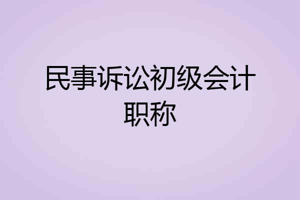 民事诉讼初级会计职称