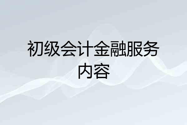 初级会计金融服务内容