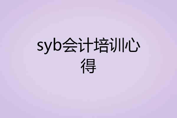 syb会计培训心得