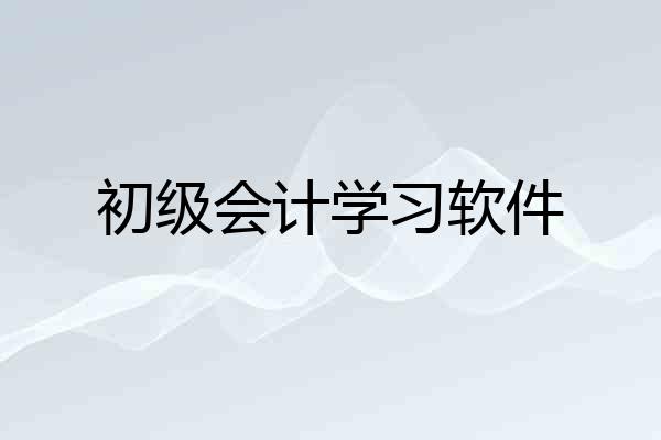 初级会计学习软件