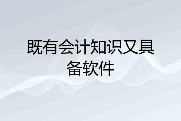 既有会计知识又具备软件