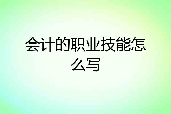 会计的职业技能怎么写