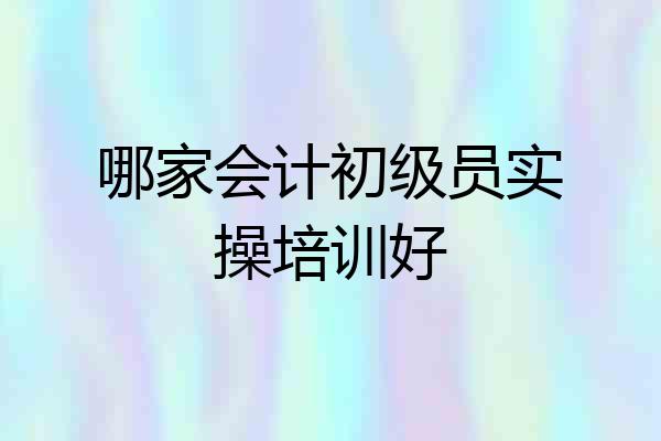 哪家会计初级员实操培训好