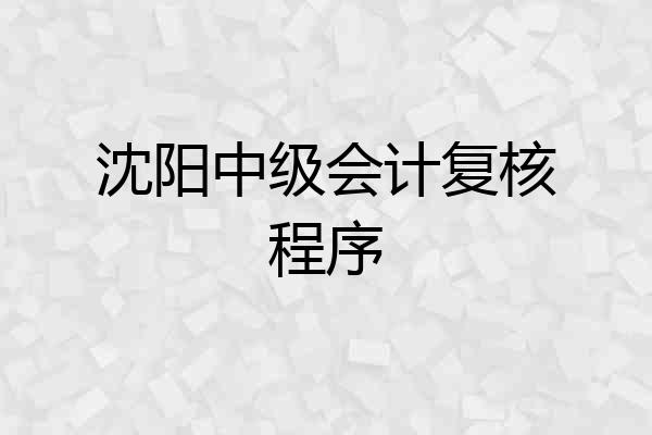 沈阳中级会计复核程序