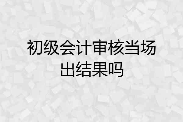 初级会计审核当场出结果吗