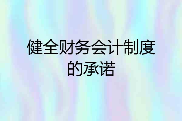 健全财务会计制度的承诺