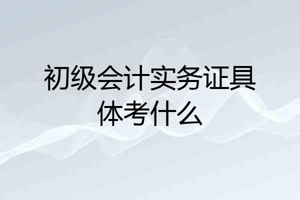 初级会计实务证具体考什么
