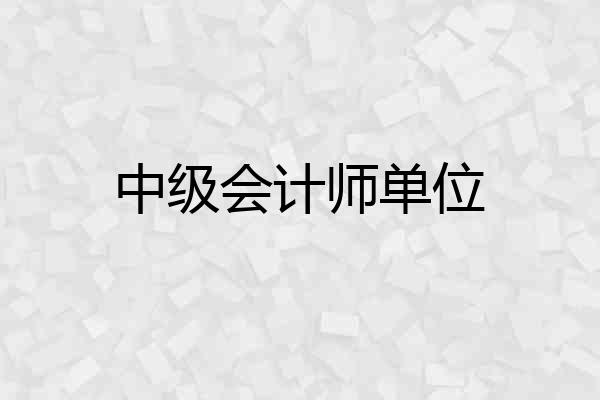 中级会计师单位