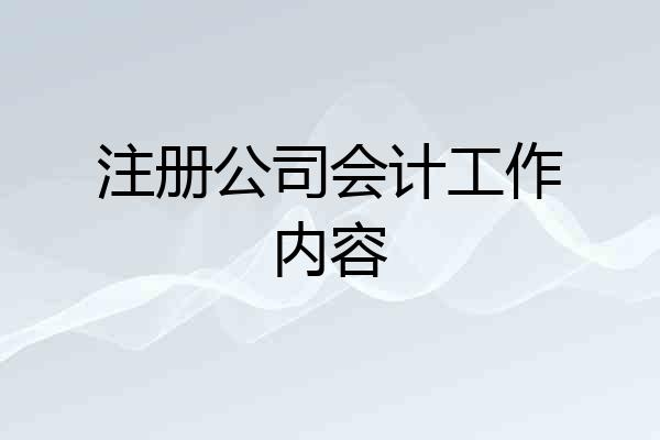 注册公司会计工作内容