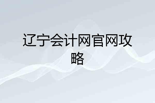 辽宁会计网官网攻略