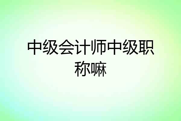 中级会计师中级职称嘛
