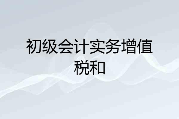 初级会计实务增值税和