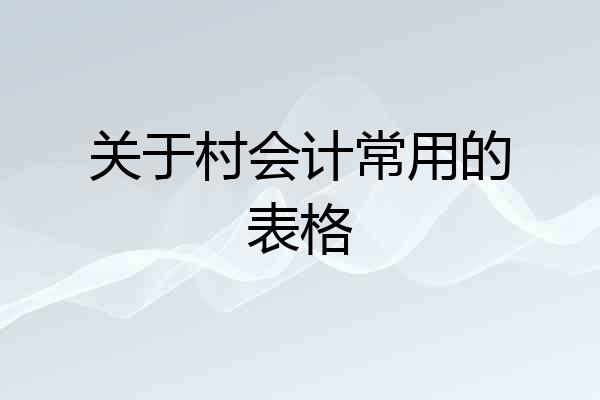 关于村会计常用的表格