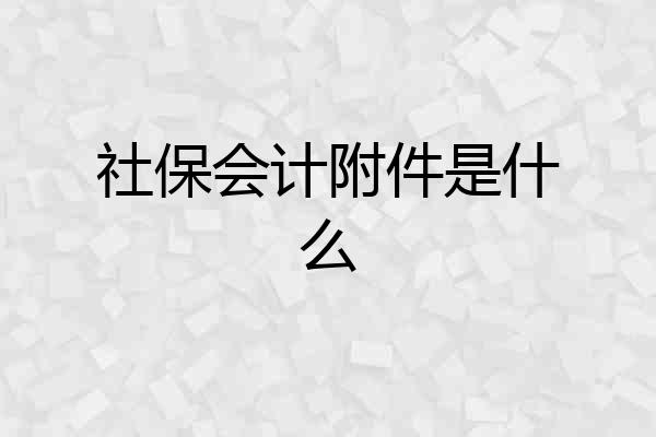 社保会计附件是什么