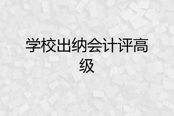 学校出纳会计评高级