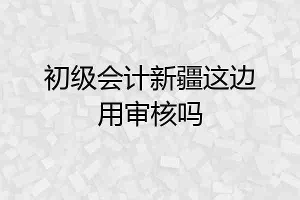 初级会计新疆这边用审核吗