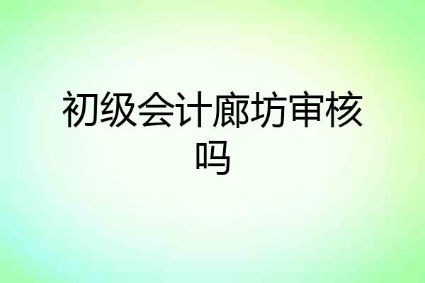 初级会计廊坊审核吗