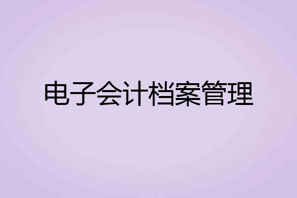 电子会计档案管理
