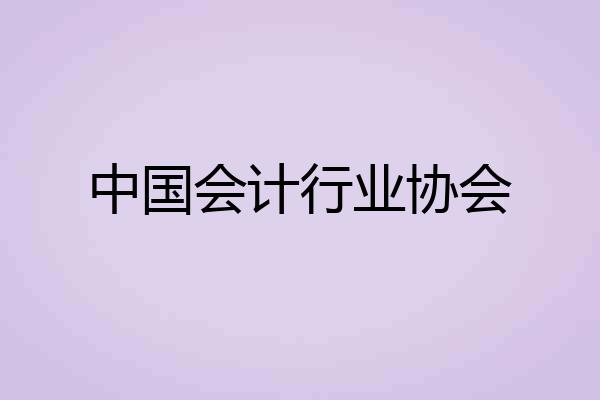 中国会计行业协会