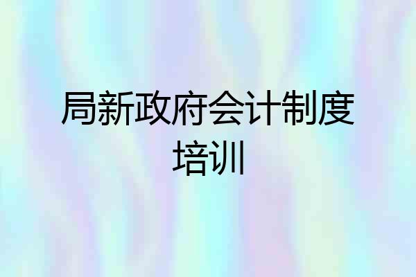 局新政府会计制度培训