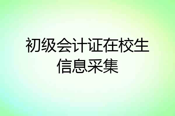 初级会计证在校生信息采集