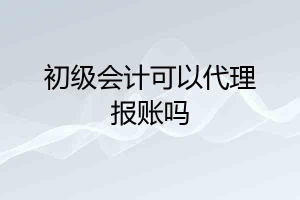 初级会计可以代理报账吗