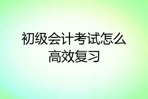 初级会计考试怎么高效复习
