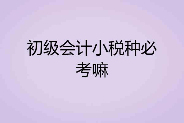 初级会计小税种必考嘛