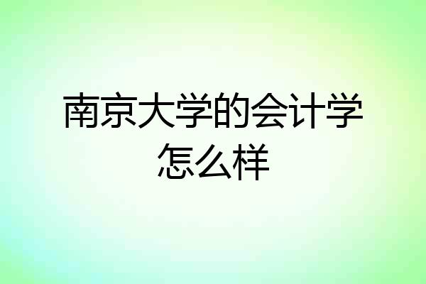 南京大学的会计学怎么样