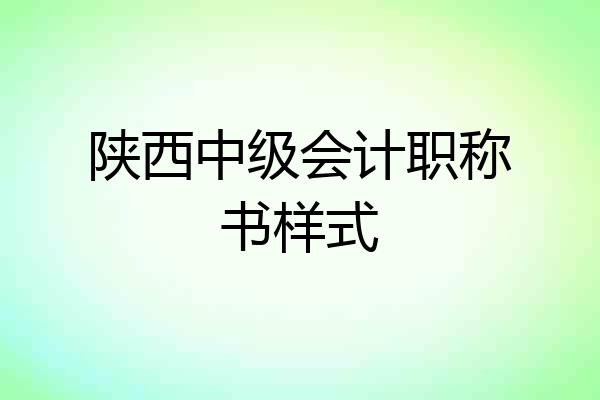 陕西中级会计职称书样式