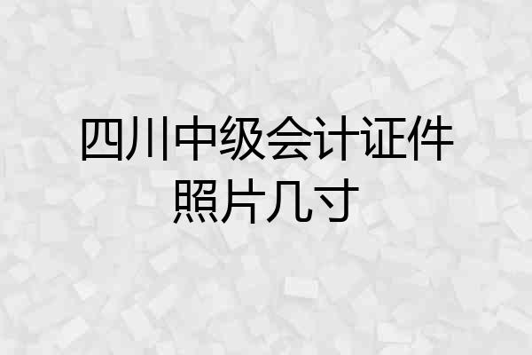 四川中级会计证件照片几寸