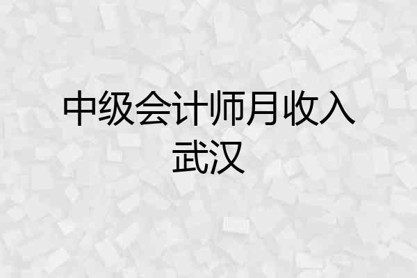 中级会计师月收入武汉
