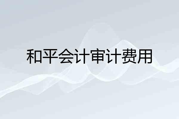 和平会计审计费用