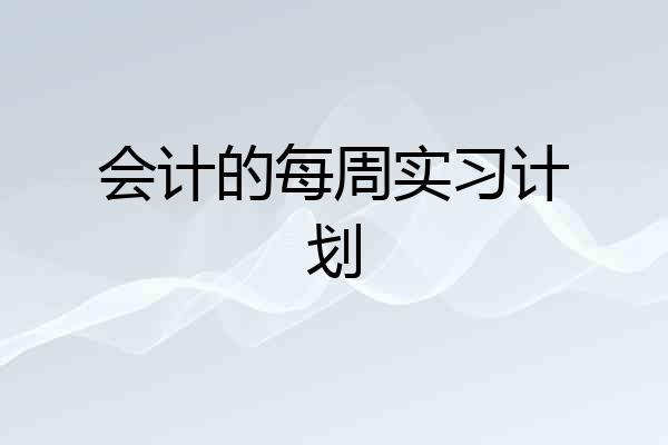 会计的每周实习计划