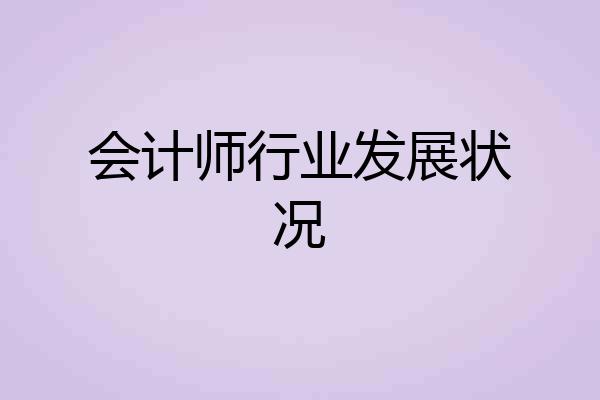 会计师行业发展状况