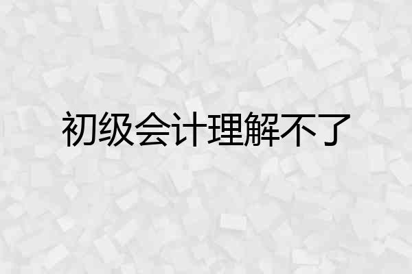初级会计理解不了