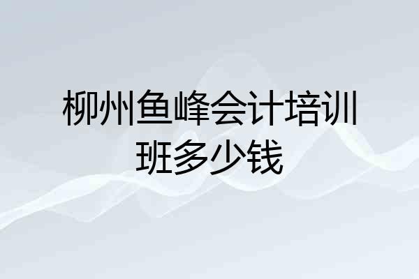 柳州鱼峰会计培训班多少钱