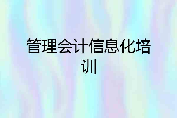 管理会计信息化培训